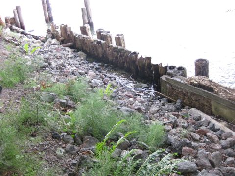 2010 Ford Pickup - A rocky shoreline features a dilapidated wooden retaining wall with several posts driven into the ground.