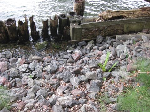 2010 Ford Pickup - A waterfront scene with rocks, debris, and water.