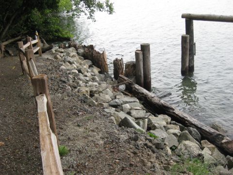 2010 Ford Pickup - A waterfront scene features weathered wooden posts, a rocky shoreline, and a fallen log near the water's edge.