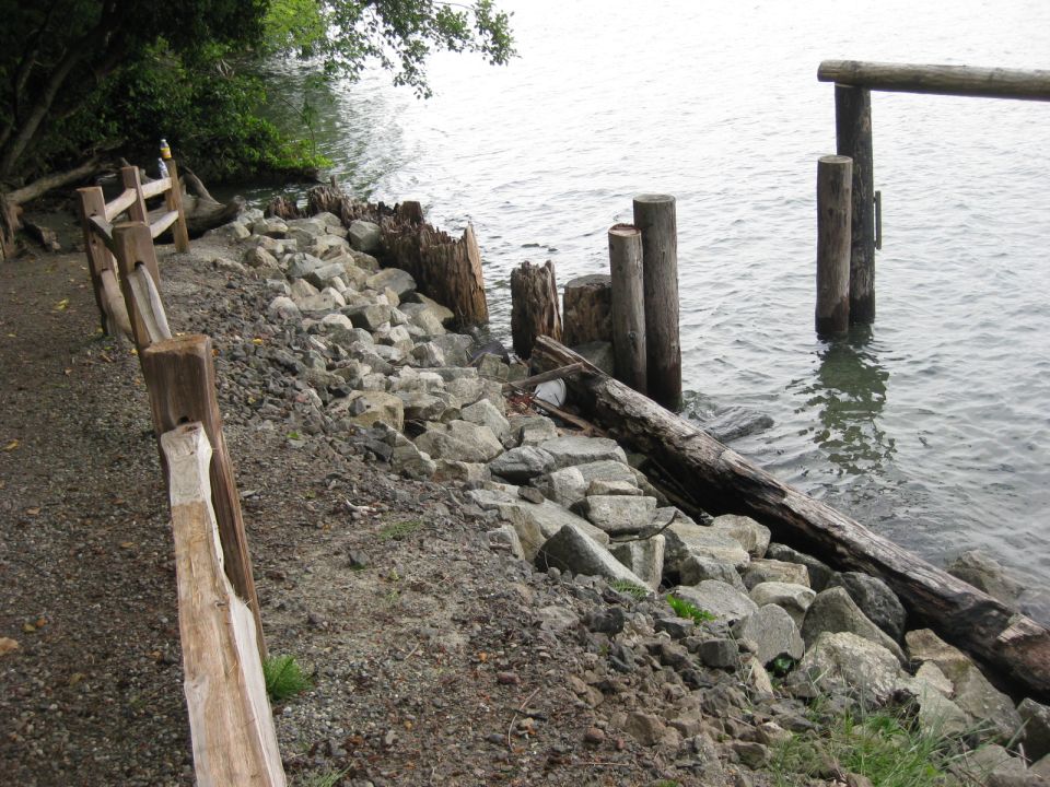 Waterfront scene with wooden posts, rocks, and a log