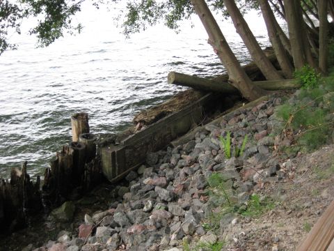 2010 Ford Pickup - Debris and trees line a rocky shoreline next to choppy water.