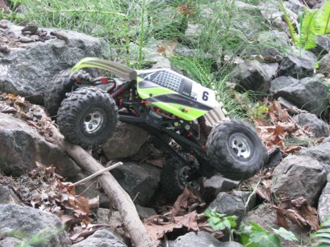 2010 Ford Pickup - This remote control rock crawler is shown navigating a challenging obstacle course made of rocks and branches.