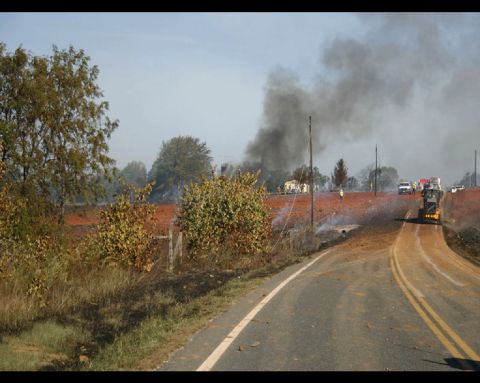1978 Ford Bronco - A train travels along tracks through a scenic countryside, with trees and a road visible in the foreground.