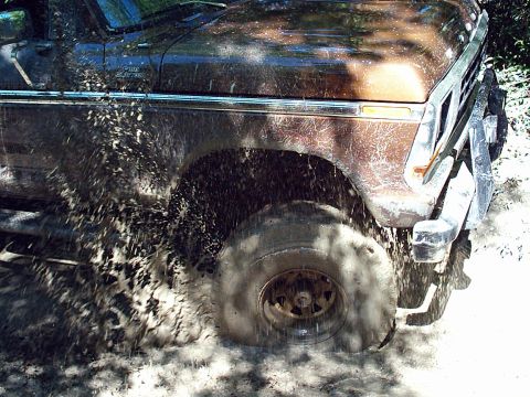 1979 Ford F-150 photo