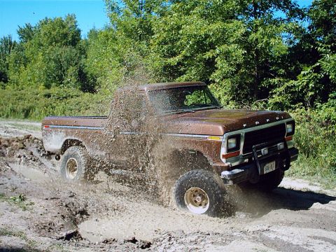 1979 Ford F-150 photo