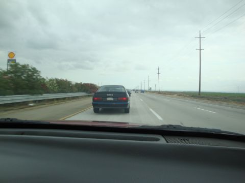 1990 Ford Taurus - A black sedan is seen from behind driving on a highway with other vehicles and utility poles.