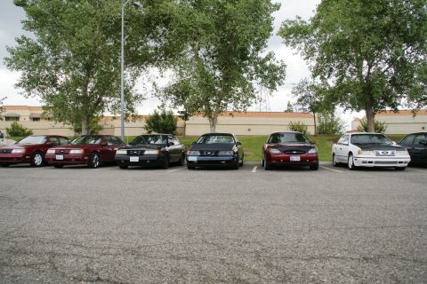 1990 Ford Taurus - A lineup of Ford Taurus sedans from the early 1990s parked in a lot.