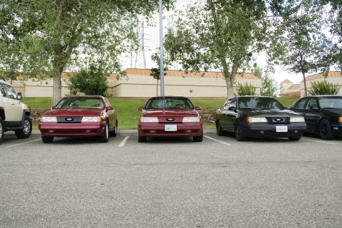 1990 Ford Taurus - Multiple Ford Tauruses are parked in a lot, with a beige SUV on the far left.
