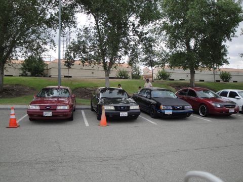 1990 Ford Taurus - Several Ford Taurus sedans are parked in a lot, with three clearly identifiable as early 1990s models.