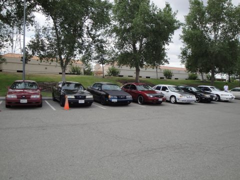 1990 Ford Taurus - A row of sedans are parked in a lot under a cloudy sky with trees in the background.