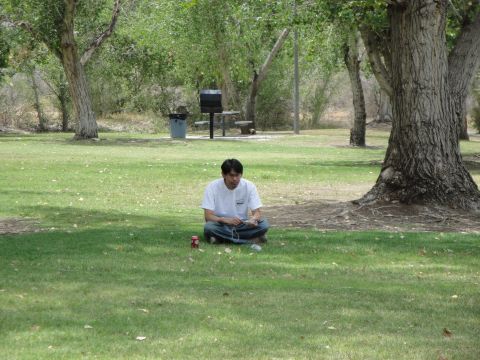 1990 Ford Taurus - A person sits on the grass in a park, surrounded by trees, with a picnic table and grill visible in the distance.