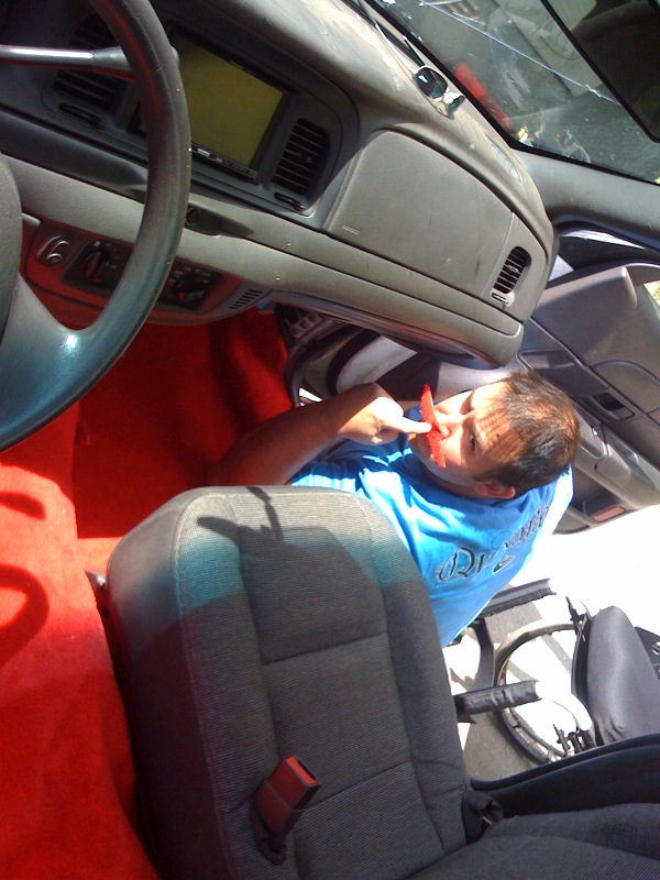2003 Ford Crown Victoria interior, showing dashboard, steering wheel, and red carpet