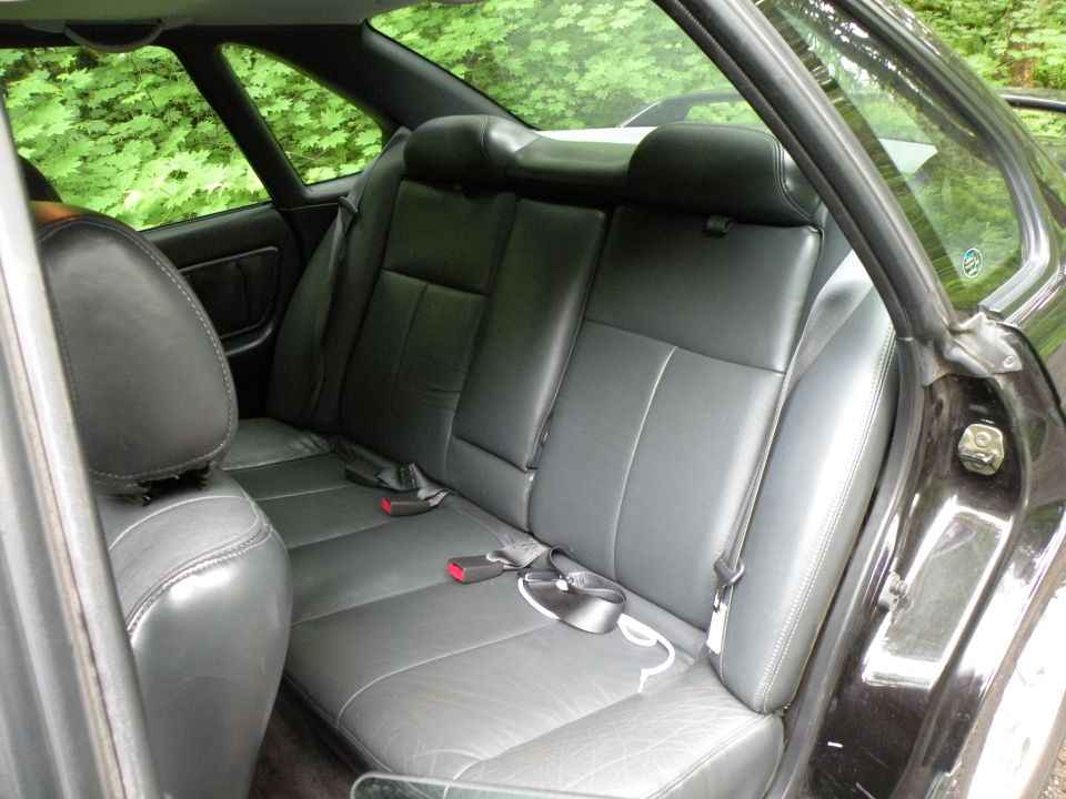 Rear leather seats and seatbelts inside a car, with green foliage visible through the windows