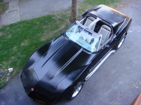 1975 Chevrolet Corvette - A black 1975 Chevrolet Corvette is parked on a driveway next to a grassy area and a tree.