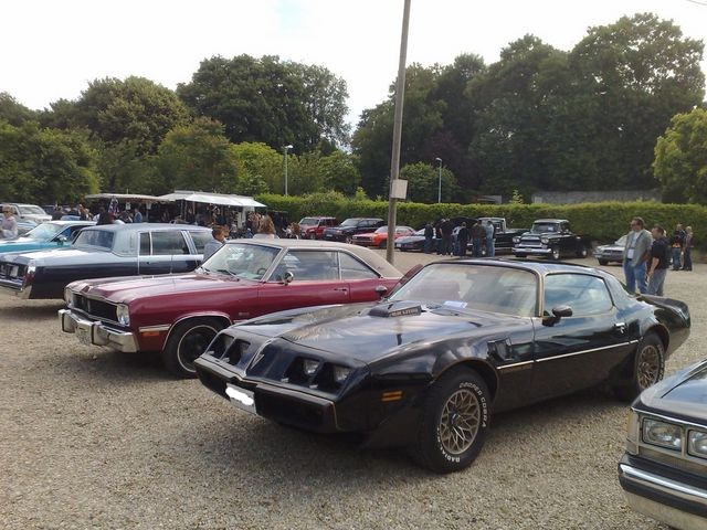 Black 1977 Pontiac Firebird Trans Am with gold snowflake wheels and a shaker hood, parked at a car show