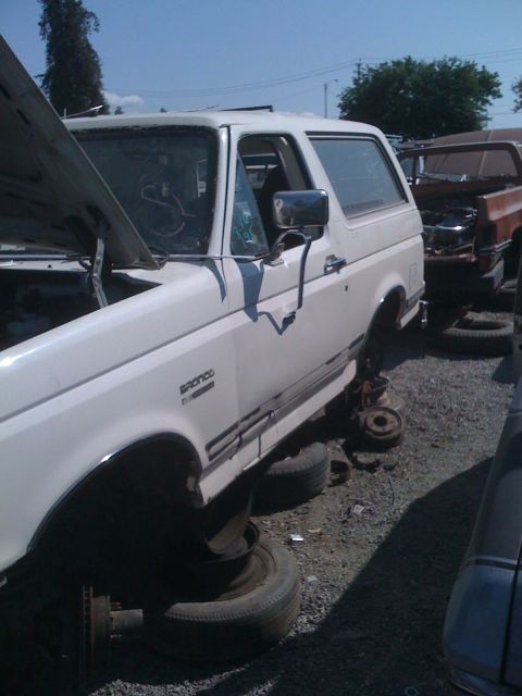 1989 Ford Bronco - Here's our 1/2 late 80s bronco