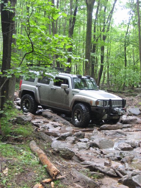 1991 Ford Bronco - A silver SUV tackles a challenging off-road course through a dense forest.