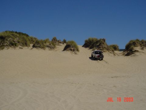 1989 Ford Bronco - A white SUV navigates sandy terrain under a bright blue sky.
