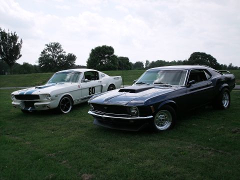 1970 Ford Mustang - Two Ford Mustangs, one dark blue 1970 model and a white one with racing stripes, parked on a grassy field.