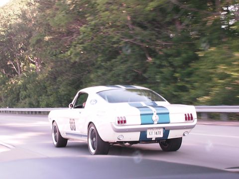 1970 Ford Mustang - Rear view of a classic white Mustang Shelby GT350 with racing stripes and a license plate reading 'GT 347R'.