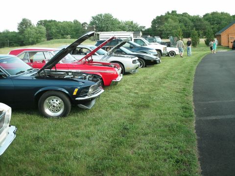 1970 Ford Mustang - A line of classic cars, including a dark blue 1970 Ford Mustang, are displayed on a grassy field.