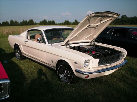 1970 Ford Mustang - A classic white Mustang Fastback is displayed with its engine exposed, parked outdoors on a sunny day.
