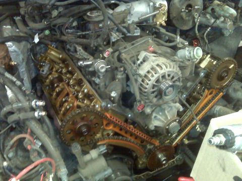2001 Ford Crown Victoria - Close-up view of an engine bay, focusing on the timing chains and alternator. The Supermotors.net logo is visible in the lower right corner.