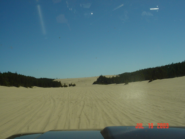 View from behind a windshield over open sand dunes bordered by evergreens, date-stamped July 19 2003