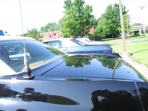 1991 Ford LTD Crown Victoria - Close view across the glossy black roof and whip antenna of a parked police car, with other cruisers and trees behind.