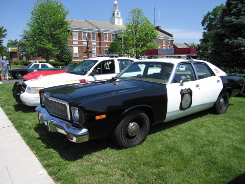 1991 Ford LTD Crown Victoria - black-and-white four-door police cruiser with a shield door emblem and roof lightbar parked on grass beside other cruisers.