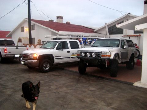 1996 Ford Bronco - A modified silver SUV is parked next to a white pickup truck, with a dog in the foreground.