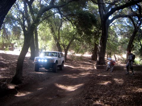 1996 Ford Bronco - A white Ford Bronco is parked on a dirt road surrounded by trees, with a motorcycle and person nearby.