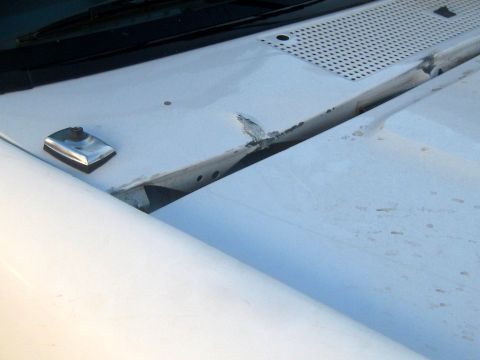 1996 Ford Bronco - Close-up of a white vehicle's hood shows a damaged seam and chrome trim.