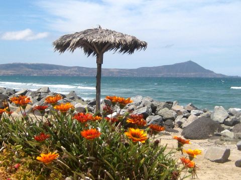 1996 Ford Bronco - A tranquil beach scene features vibrant orange flowers in the foreground, a thatched umbrella, and the vast ocean stretching to the horizon.
