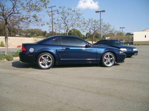 2001 Ford Mustang photo