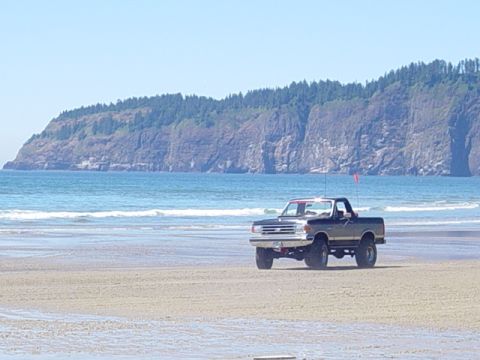 1989 Ford Bronco - A black Ford F-150 pickup truck drives on a beach with a large cliff and ocean in the background.