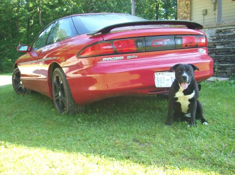 1995 Ford Probe photo