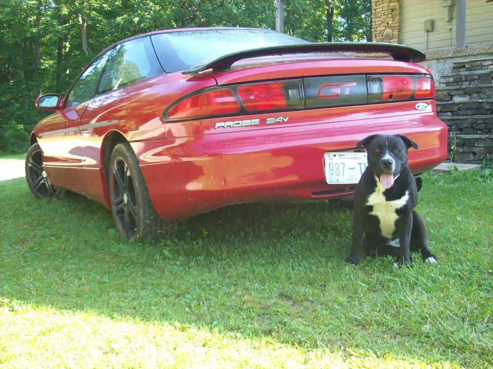 1995 Ford Probe “RAYLENE”