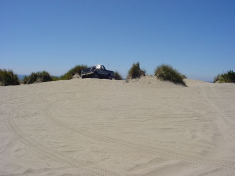 1989 Ford Bronco - A pickup truck navigates sandy terrain on a bright, clear day.