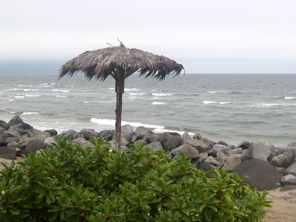 thatched umbrella on a rocky beach with waves in the background