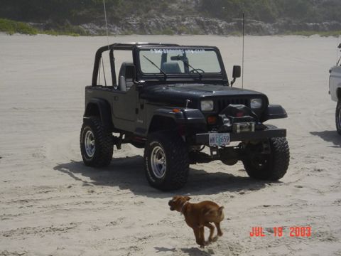 1995 Jeep Wrangler “Black Dragon”