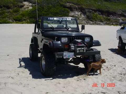 1995 Jeep Wrangler “Black Dragon”