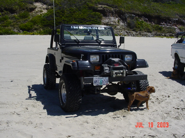1995 Jeep Wrangler “Black Dragon”