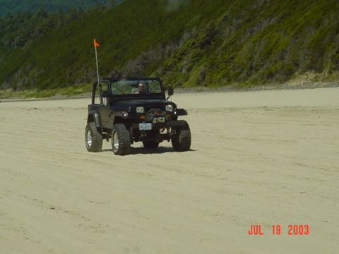 1995 Jeep Wrangler “Black Dragon”