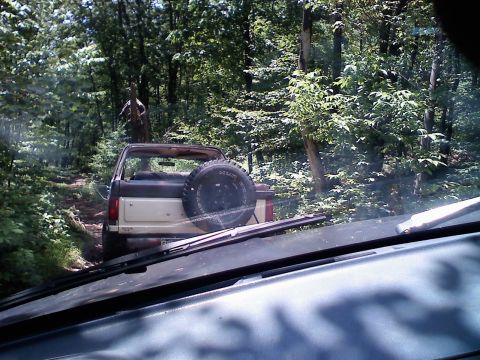 1988 Ford Bronco - A Ford Bronco navigates a wooded trail, its spare tire mounted on the back.