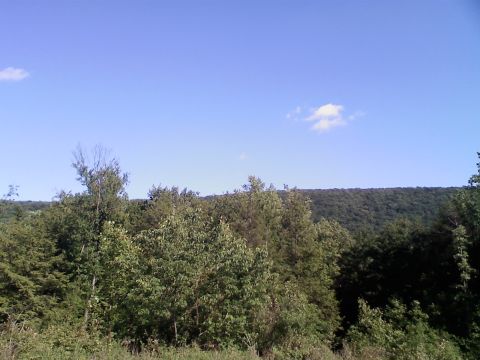1988 Ford Bronco - A scenic view of a wooded hillside under a clear blue sky with a few white clouds.