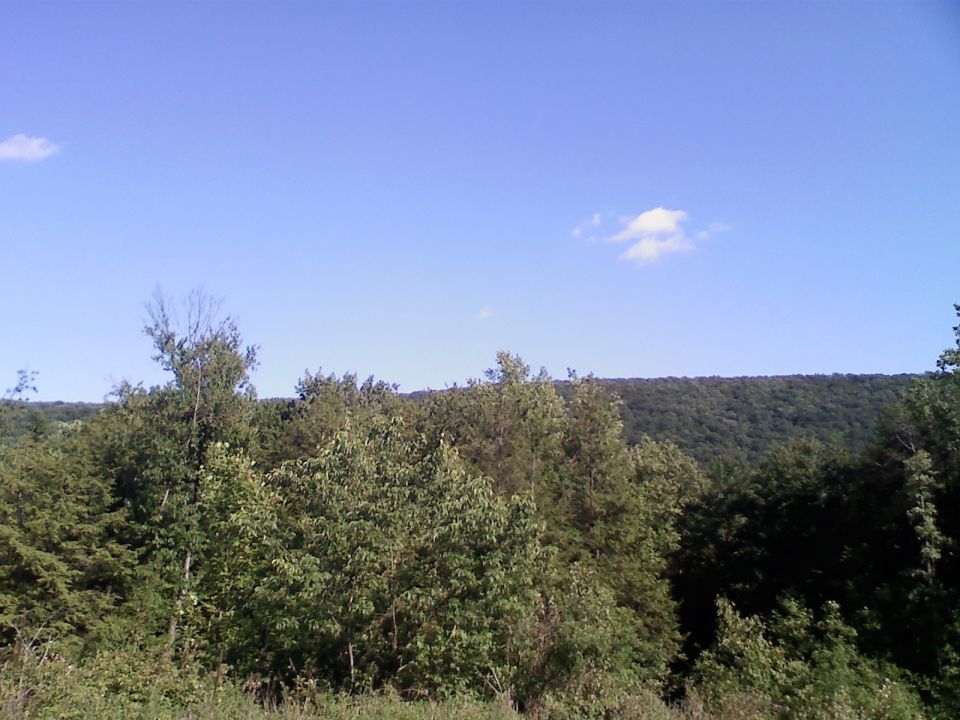 Wooded hillside under a blue sky with scattered clouds
