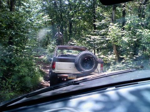 1988 Ford Bronco - A two-tone Ford Bronco navigates a wooded trail, its spare tire mounted prominently on the rear.