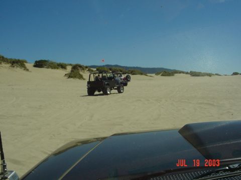 1995 Jeep Wrangler “Black Dragon”