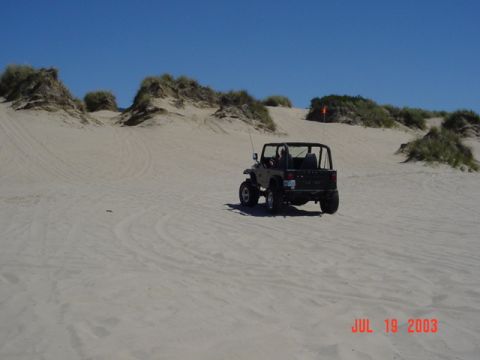 1995 Jeep Wrangler “Black Dragon”